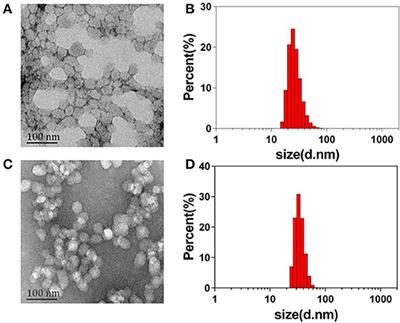 Programmable Ce6 Delivery via Cyclopamine Based Tumor Microenvironment Modulating Nano-System for Enhanced Photodynamic Therapy in Breast Cancer